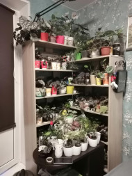 Стеллаж угловой Брукс