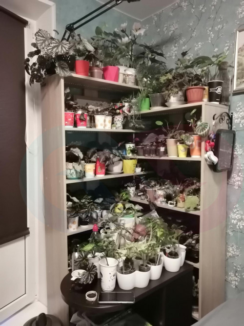 Стеллаж угловой Брукс